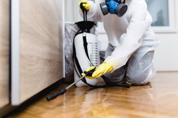Best Rat Extermination Near Me  in Brewster, NY