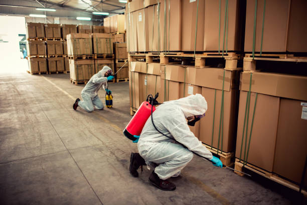 Reliable Brewster, NY Pest Control Solutions