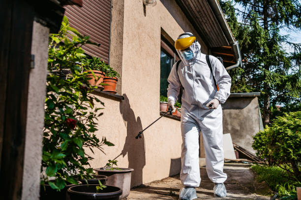 Best Affordable Pest Control Services  in Brewster, NY