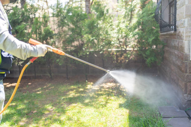 Best Flea Control Services  in Brewster, NY