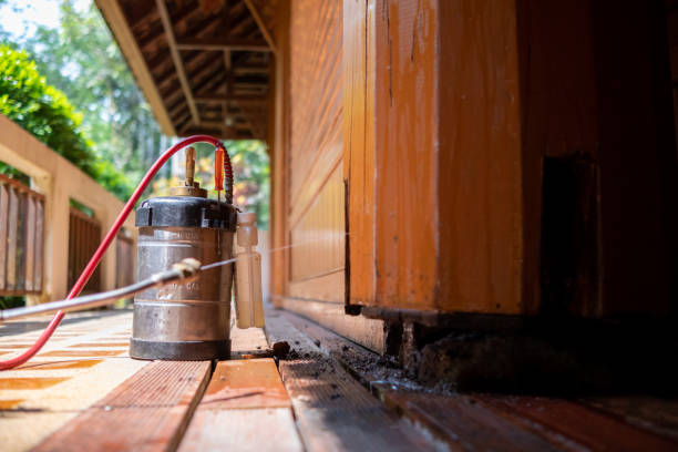 Best Pest Removal Services  in Brewster, NY