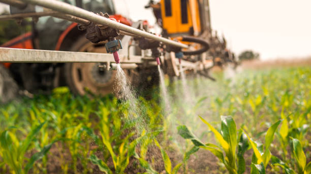 Best Pest Removal Services  in Brewster, NY